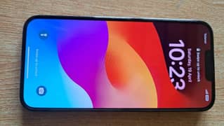 Apple Iphone 13 pro max PTA approved