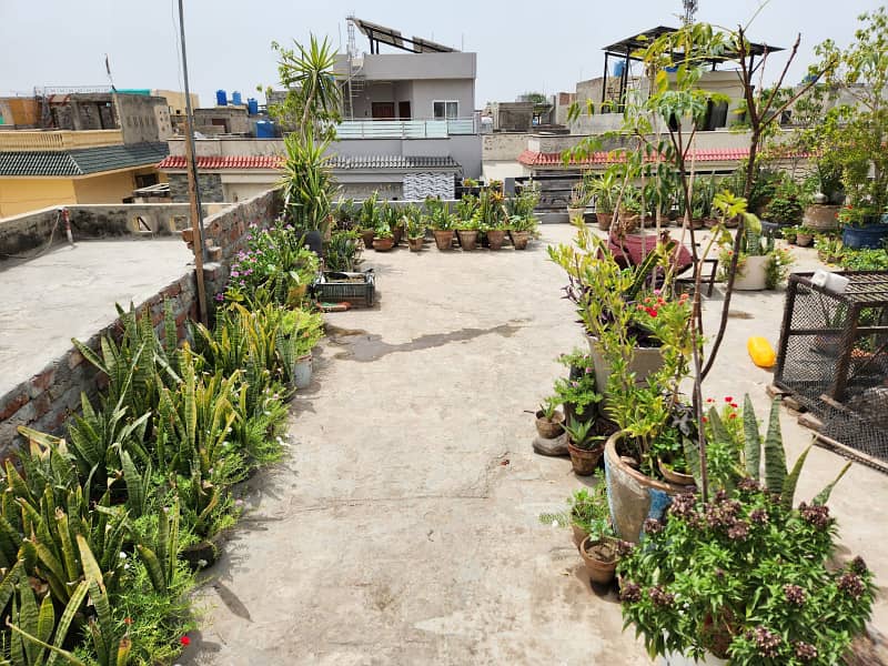 Hot Location Lavish House Available For Sale In Iqbal Park Adjusent To Dha Phase1 41