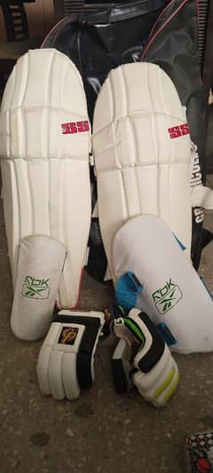 Hard ball Cricket kit