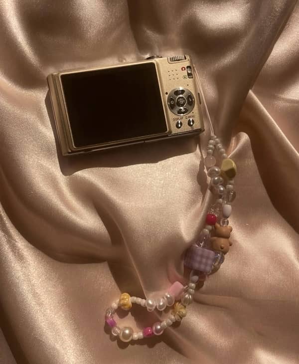 Panasonic Lumix DMC-FX35 DigiCam 2