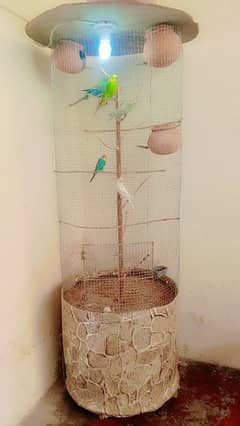 parrot