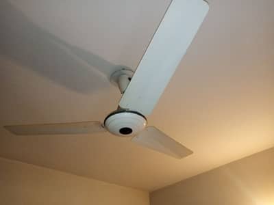 pak ceiling fans in very good condition for sale