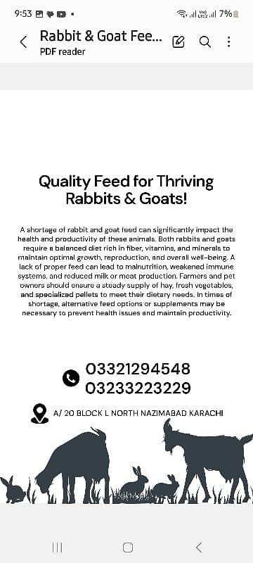 bakri | Goat feed  | Rabbits feed | white rabbits |Newzealand rabbits 2