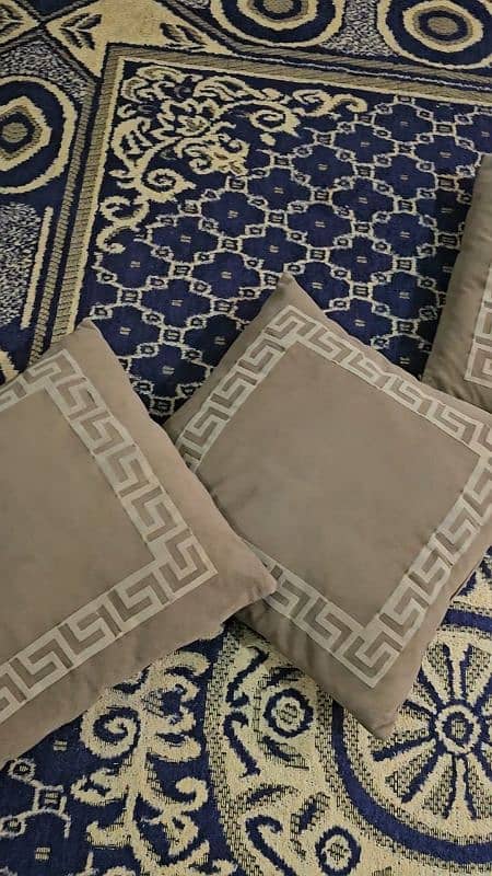 6 set of sofa 7