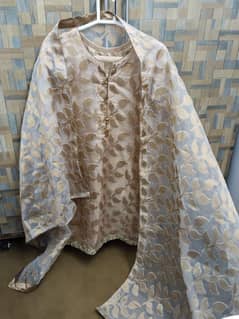 Party wear dress