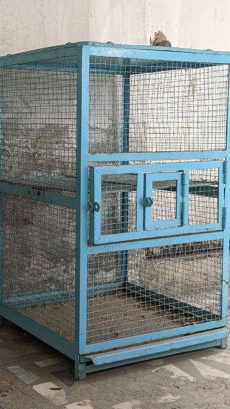 BIG bird cage 0
