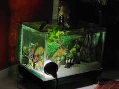Aquarium 2.5 feet length, 1.5 feet height & width