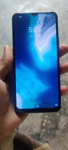 Vivo