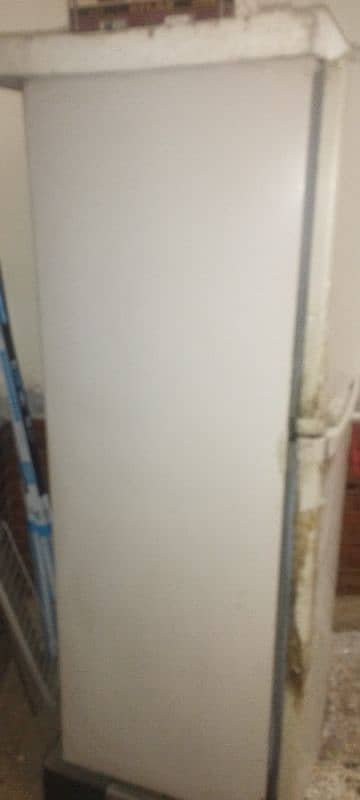 orient Reigate 7