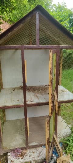 Hen