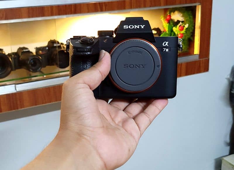 Sony a7iii (10/10+) Shutter count 19k 1