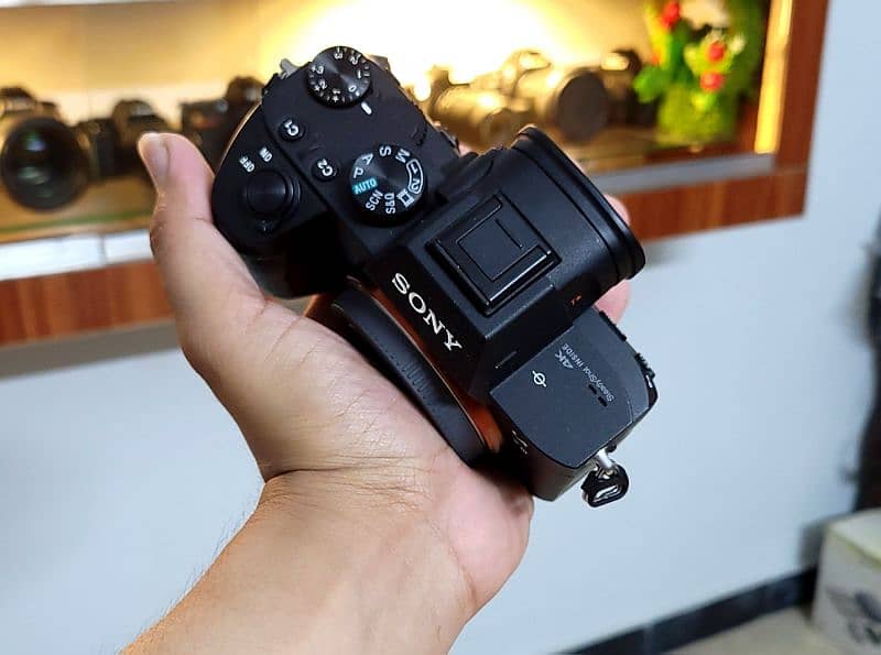 Sony a7iii (10/10+) Shutter count 19k 3