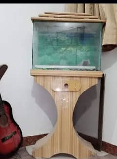 fish aquarium