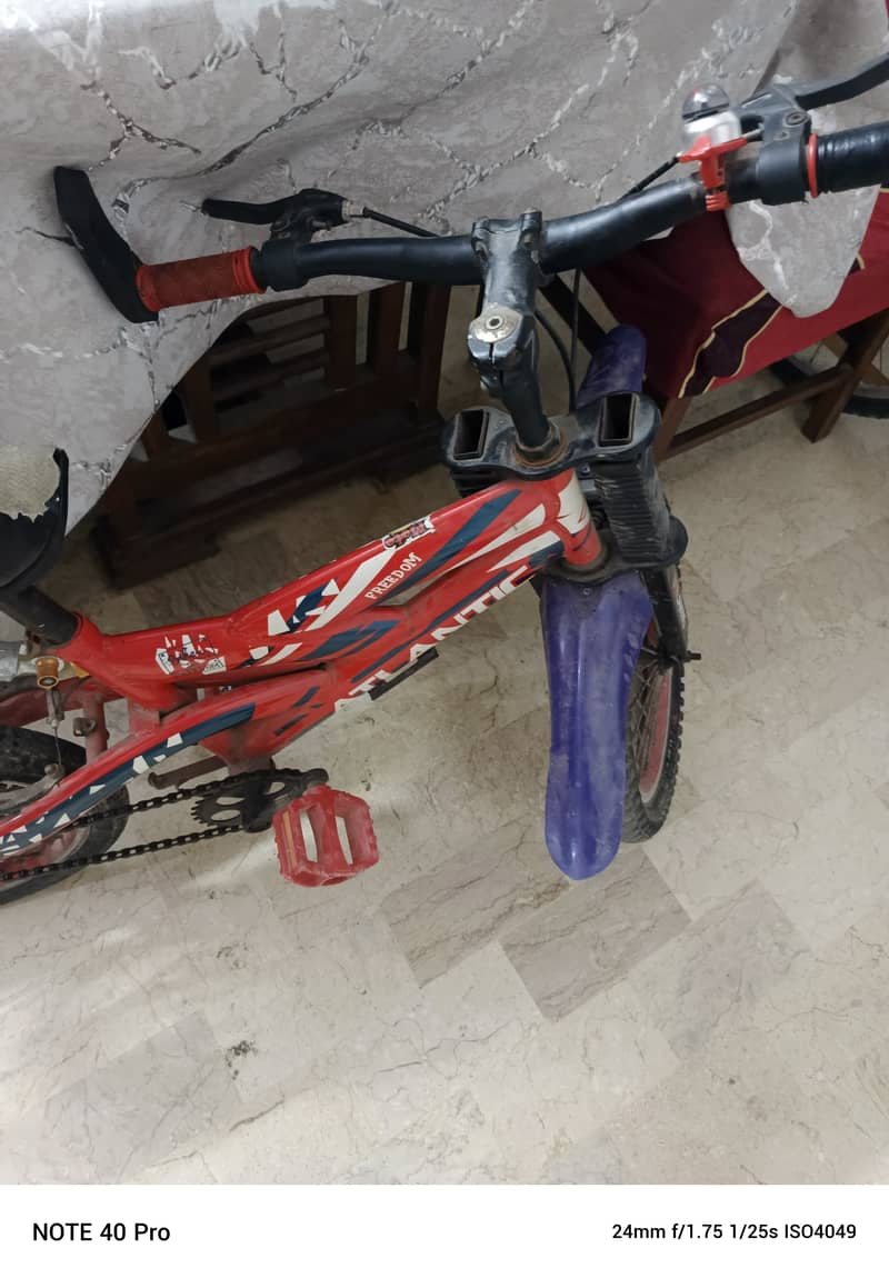 Bie cycle 0