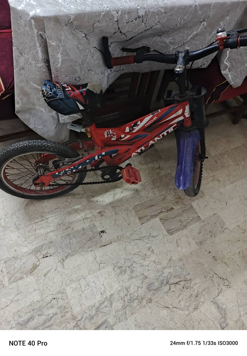 Bie cycle 1