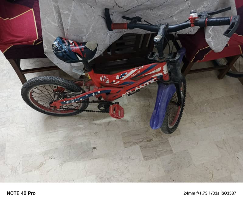 Bie cycle 2