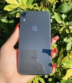 iPhone