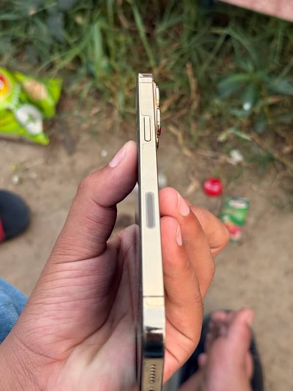 IPhone 13 pro max 1