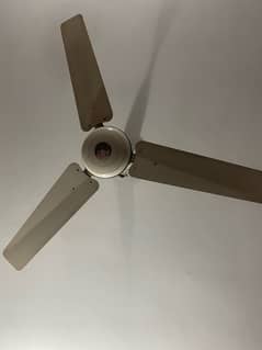 Pak fan