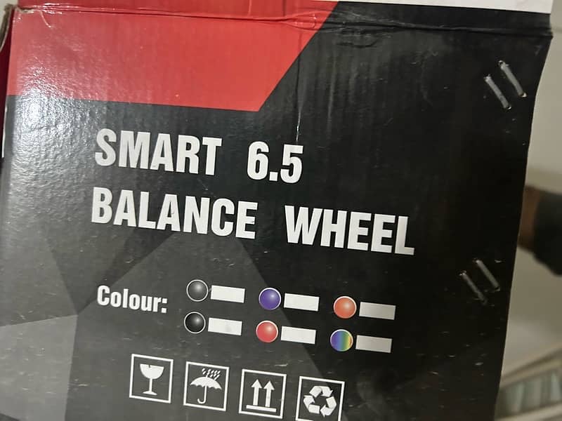 Self-Balancing Hoverboard 5