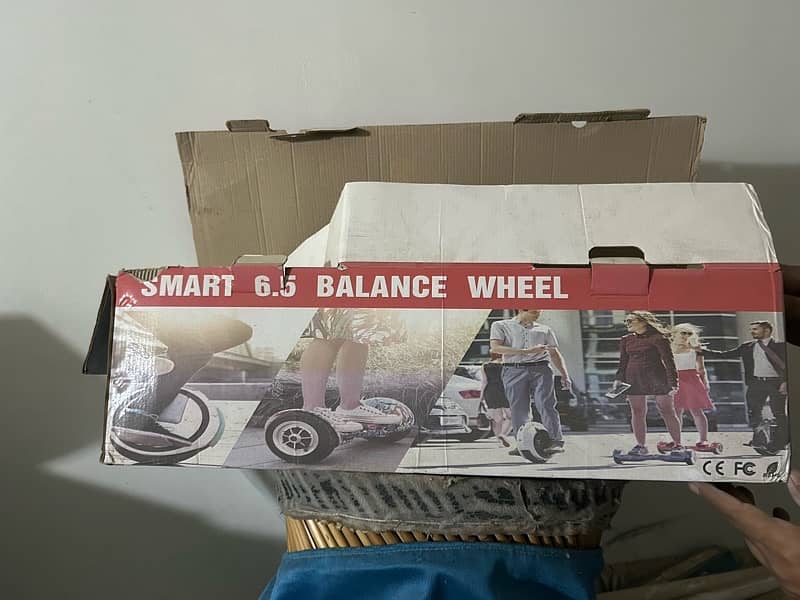 Self-Balancing Hoverboard 6