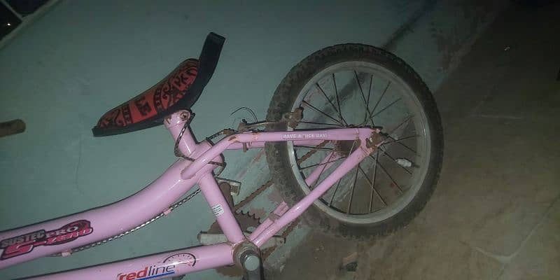 girls and boys baycical 10 by 10 condition 4