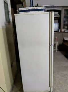 PEL