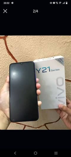 Vivo