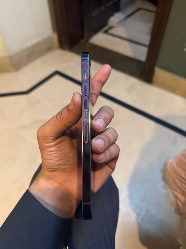 iPhone 14 pro max just back break 2