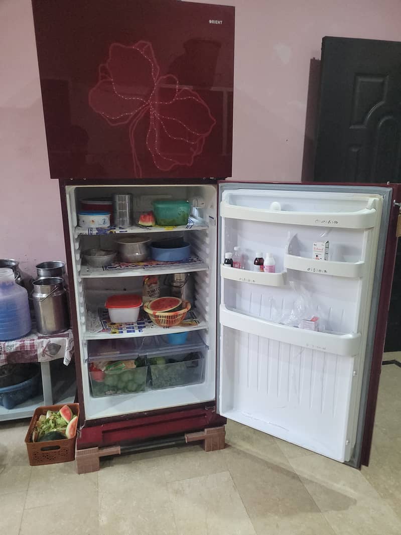 Orient Refrigerator Full size 5