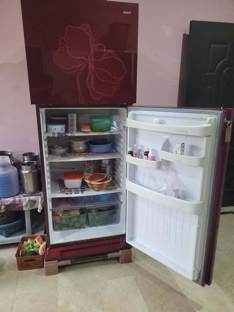 Orient Refrigerator Full size 6