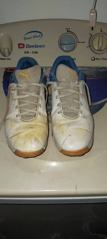 puma spick spinner shows 0