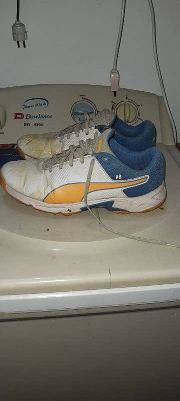 puma spick spinner shows 1