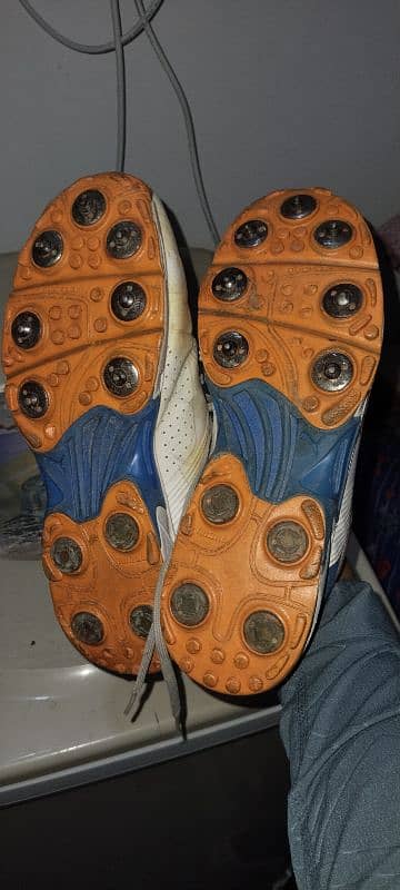 puma spick spinner shows 2
