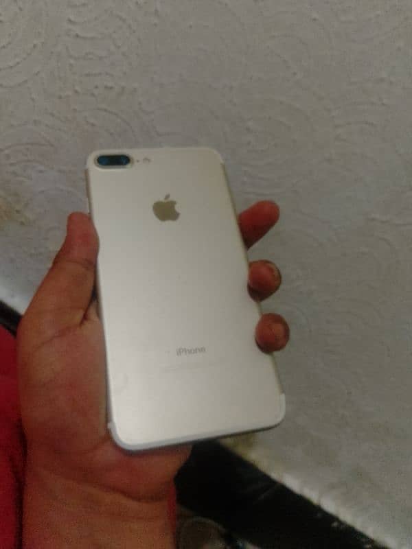 03190173767 whatsap 0