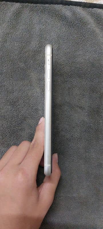 Iphone 11 jv 1