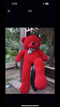 Teddy