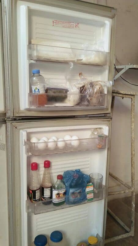 frige 0