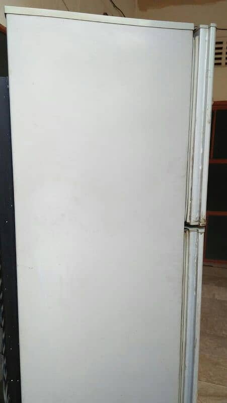 frige 3
