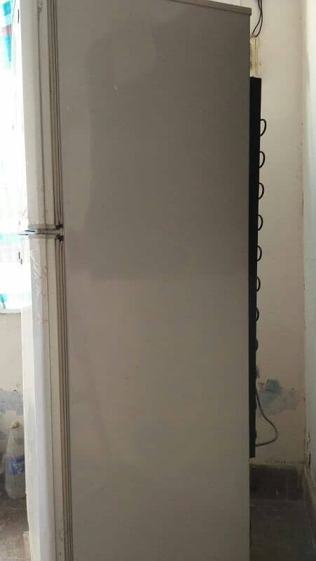 frige 4