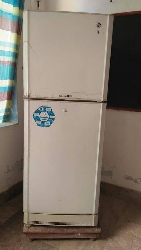 frige 5