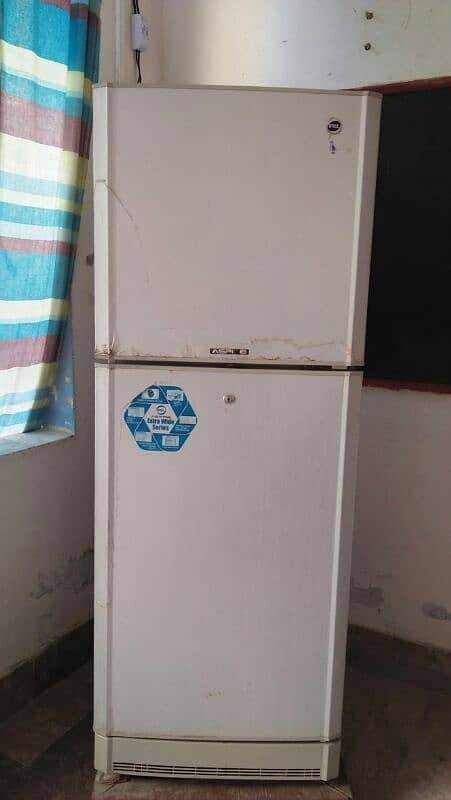 frige 6