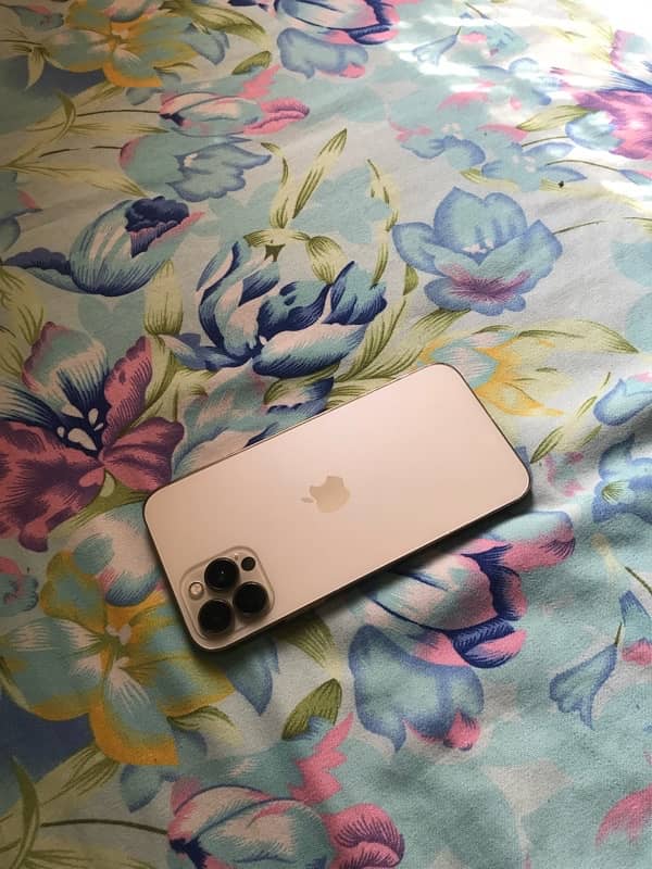 iphone 12 pro convert 2