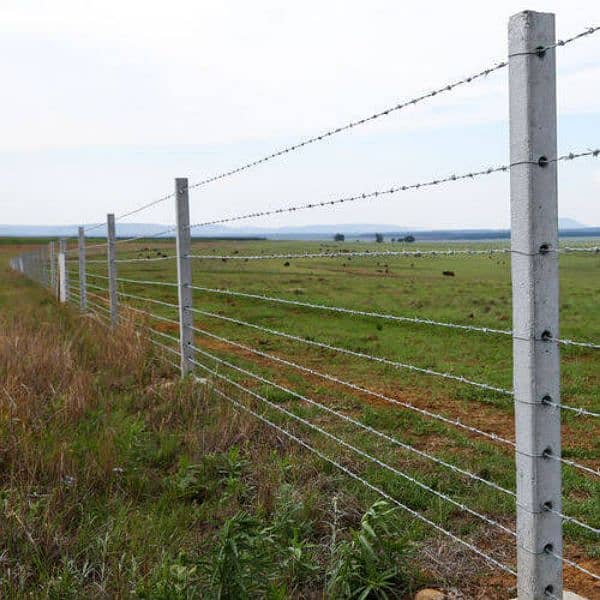chain link fence razor wire barbed wire welded mesh Security Wire jali 6