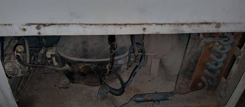 deep freezer of pel 4