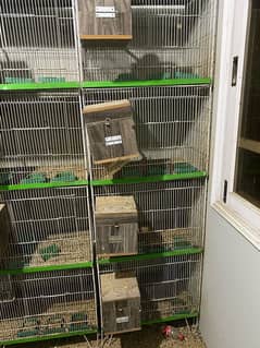 4 portion cages