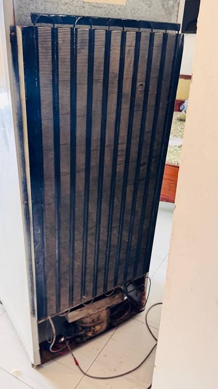 Pel Refrigerator For Sale Good Condition 9/10 Condition 3