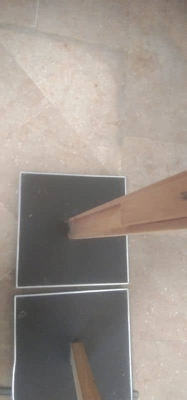 Mobile Stand with 2 light stands 4