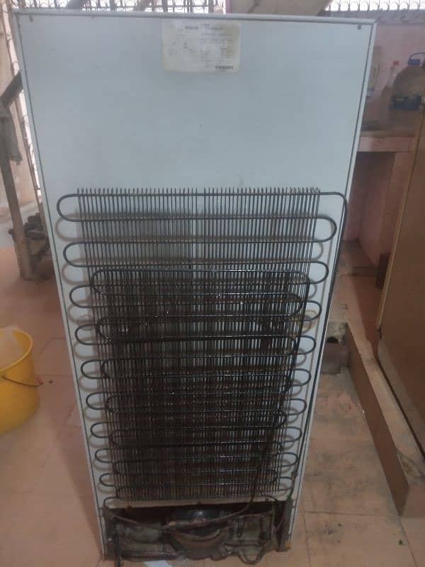 Philips dabal door small size 5