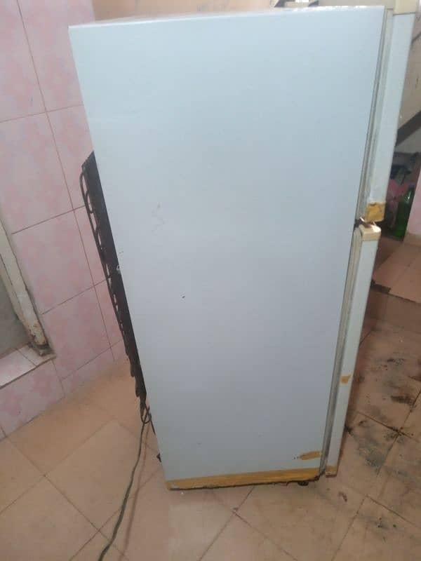 Philips dabal door small size 8